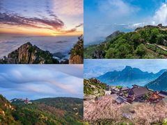 -泰山花样年华景区