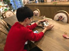 -共舞时光猫咖·狗咖(新街口店)