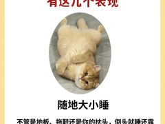 -泰洋动物医院·神经专科·磁共振·CT(天河公园总院)