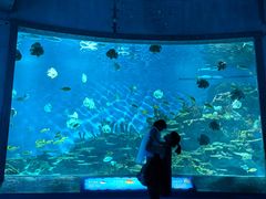 -海合安武汉极地海洋公园
