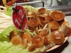 -海底捞火锅(宝龙广场夜宵主题店)