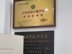 -派美特宠物医院·核磁CT·骨科肿瘤·疑难转诊(沈农禾丰店)