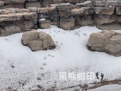 -太原动物园