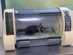 -美美宠物诊疗中心·异宠·骨科(滨江东信分院)