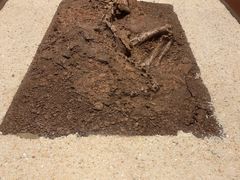 -世界恐龙谷景区