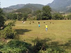 -罗田天堂寨风景区