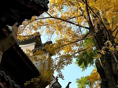 -龙潭水乡
