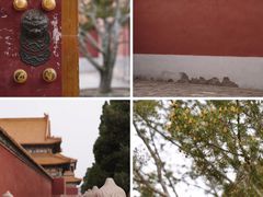 -故宫博物院(故宫)