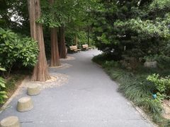 -兰溪青年公园