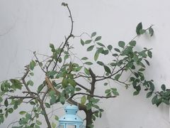 -美味之家·湖景农家乐(太湖东山店)