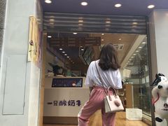 -一只酸奶牛(八一路店)