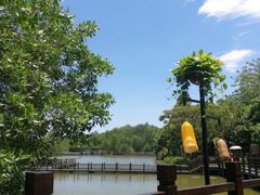 -大湾区中央湿地公园
