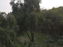 -三圣花乡旅游区