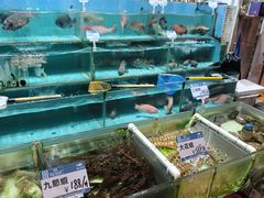-强记海鲜·大排档(蛇口新街店)