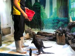 -华夏文旅海洋公园