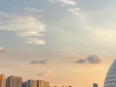 -金沙湖公园