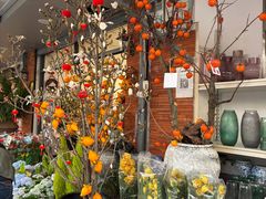 -溪岸路花鸟市场