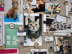 -美联众合爱康动物医院•复杂内科•肿瘤科•牙科•腔镜诊疗中心