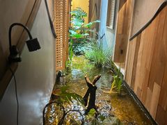 -邈墨茶馆(凤起路店)