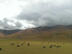 -新疆天山野生动物园