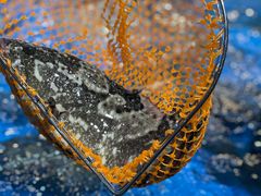 -盒马鲜生(曜一城店)