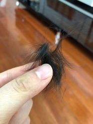 -龙文宝贝上门婴儿理发满月剃胎毛(普陀店)