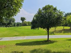 -盘龙城国家考古遗址公园