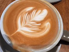 -Wagas沃歌斯(汇智店)