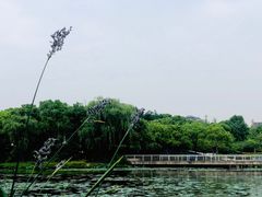 -新江湾城公园