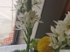 -顺峰(农展馆店)