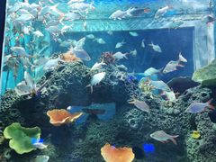 -石家庄海洋公园