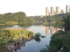 -重庆彩云湖湿地公园