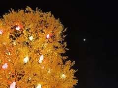 -紫阳古街