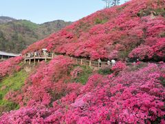 -木兰云雾山