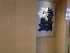 -千灯盛汇·头牌粤菜(致越优城店)