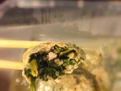 野菜和肉馅-老品芳