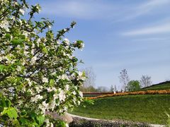 -南通洲际绿博园