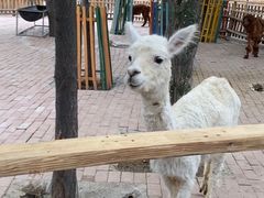 -水上乐园·欢乐世界