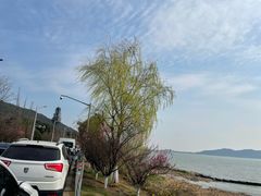 -苏州太湖国家湿地公园