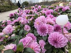 -龙环葡韵住宅式博物馆