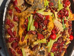 -老板恋上鱼(印象城店)