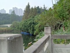-重庆彩云湖湿地公园