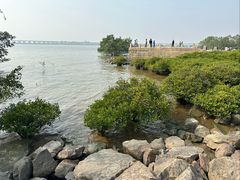 -宝安西湾红树林湿地公园