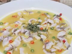 -青花椒花椒鱼(合生汇店)