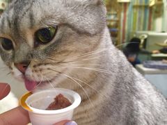 -小时光咖啡馆(开森度假森林店)