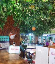 -波比一号儿童乐园(圣熙8号店)