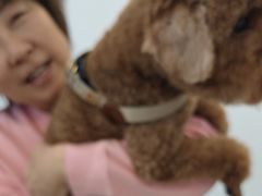 -北京观赏动物医院·24小时大型综合·猫专科·异宠专科