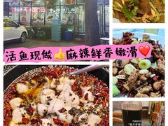 -金三可市井水煮鱼(金碧园店)