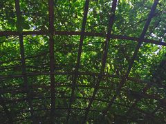 -蓟州溶洞风景区