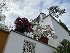 -龙华寺